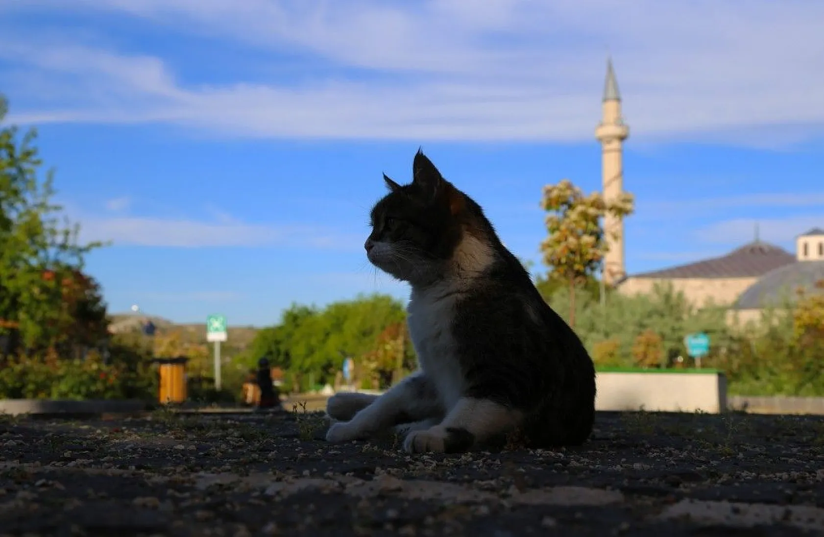Son zamanlarda çekilen kartpostallık muhteşem Elazığ fotoğrafları...