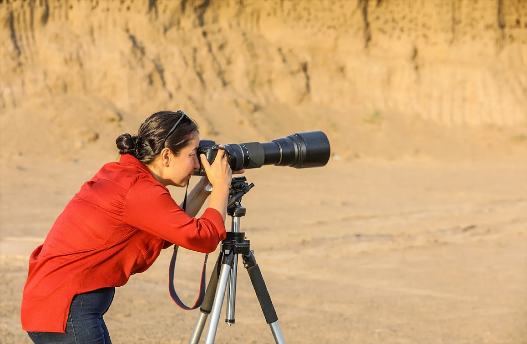 Fotoğraf tutkunlarının mekanı: Kırlangıç yuvaları