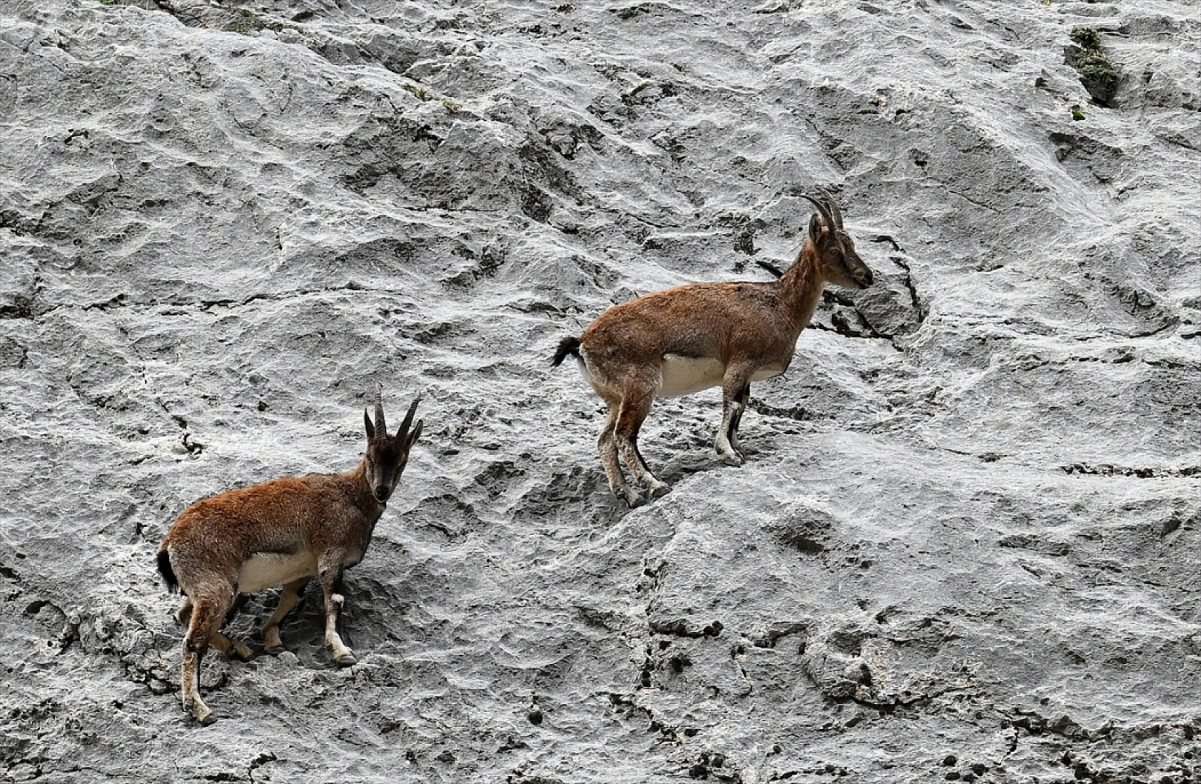 Karanlık Kanyonu ziyaretçilerini büyülüyor