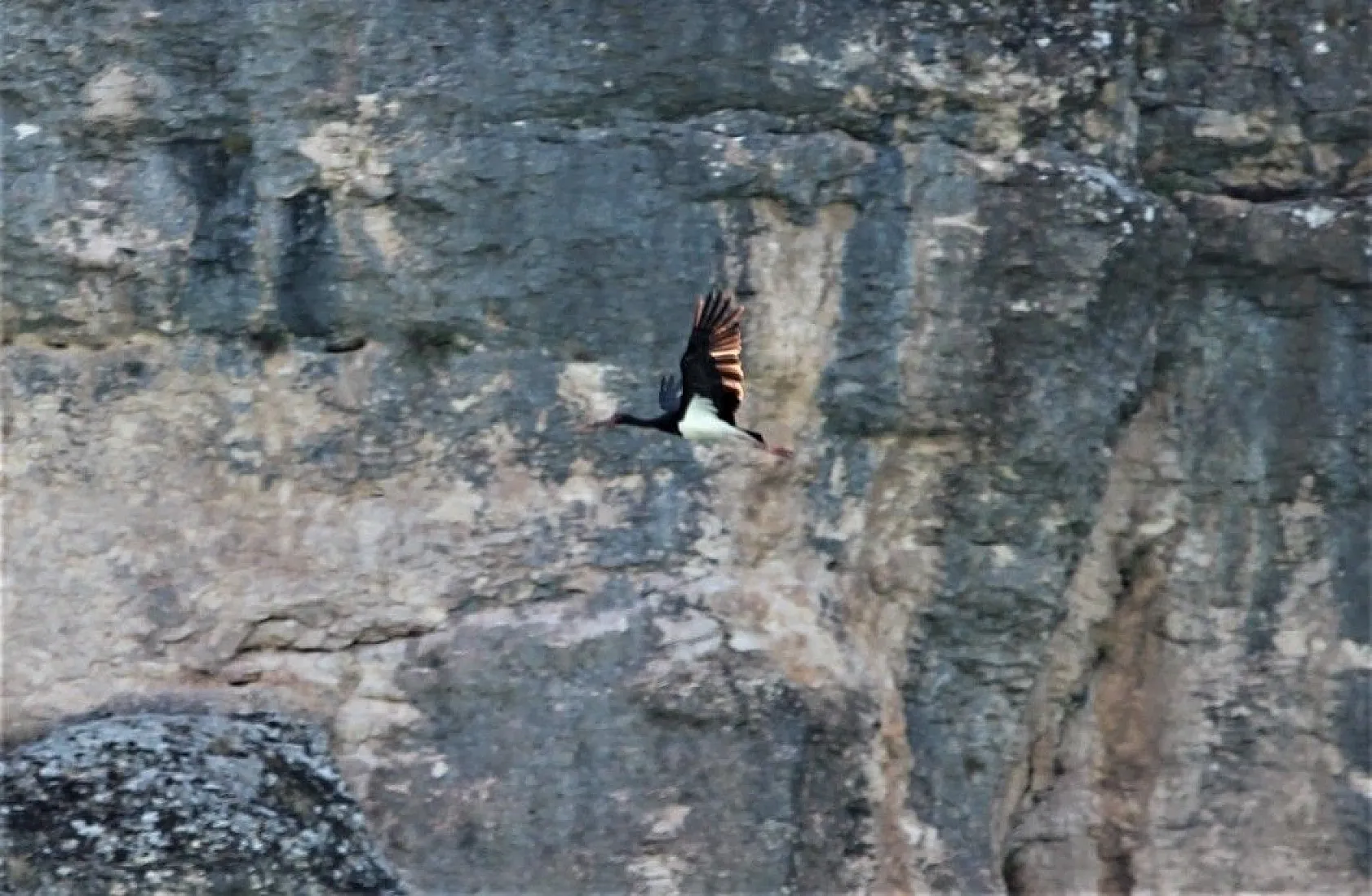 Yeni keşif 'Kara Leylek Kanyonu'