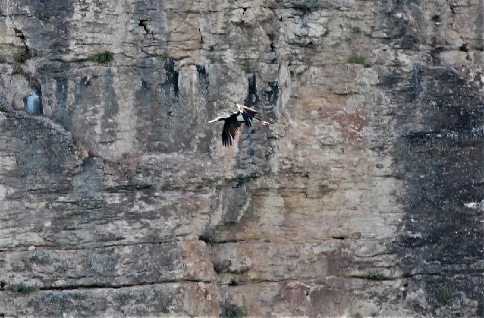 Yeni keşif 'Kara Leylek Kanyonu'