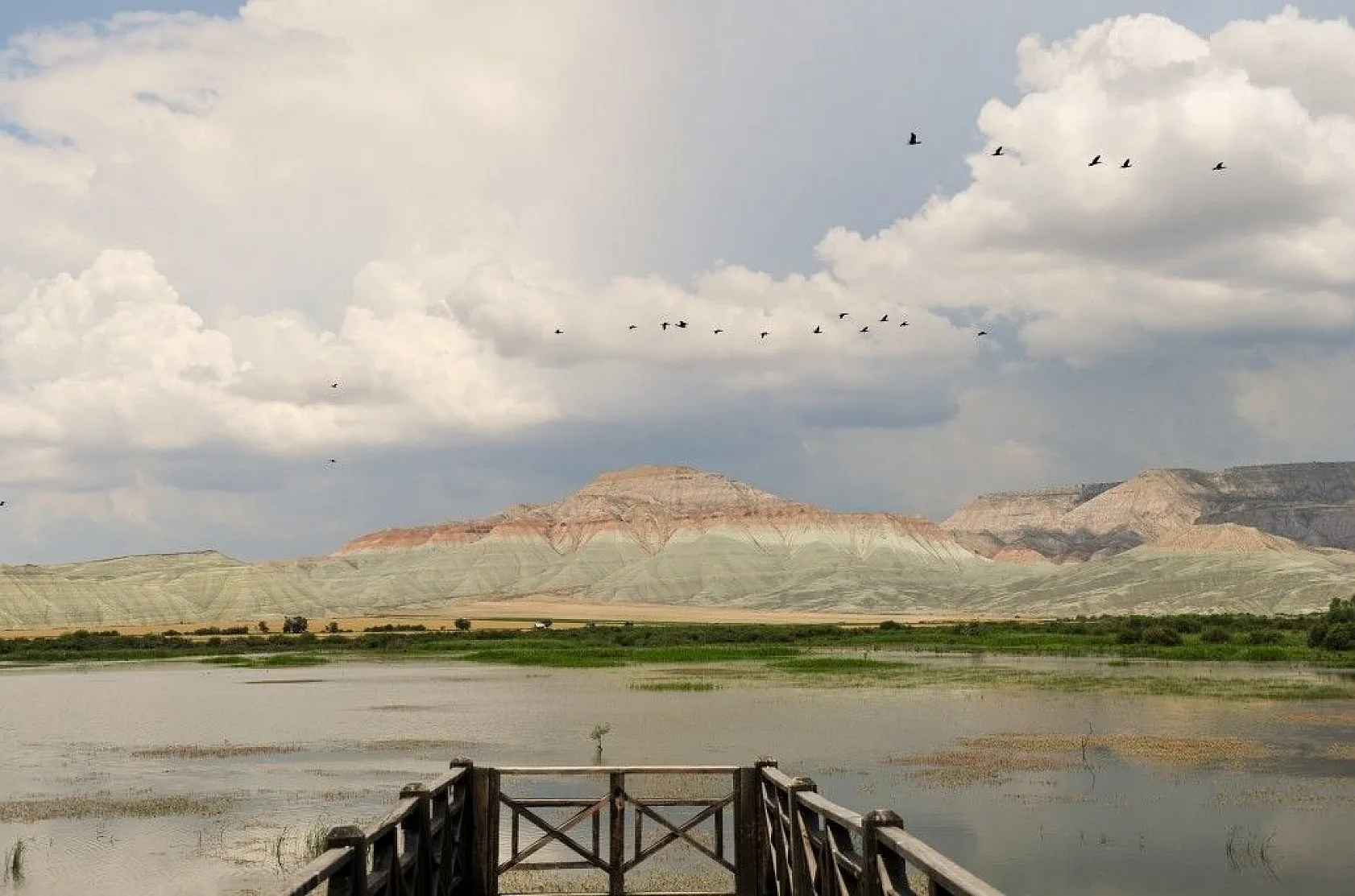 Nallıhan Kuş Cenneti'nde görsel şölen