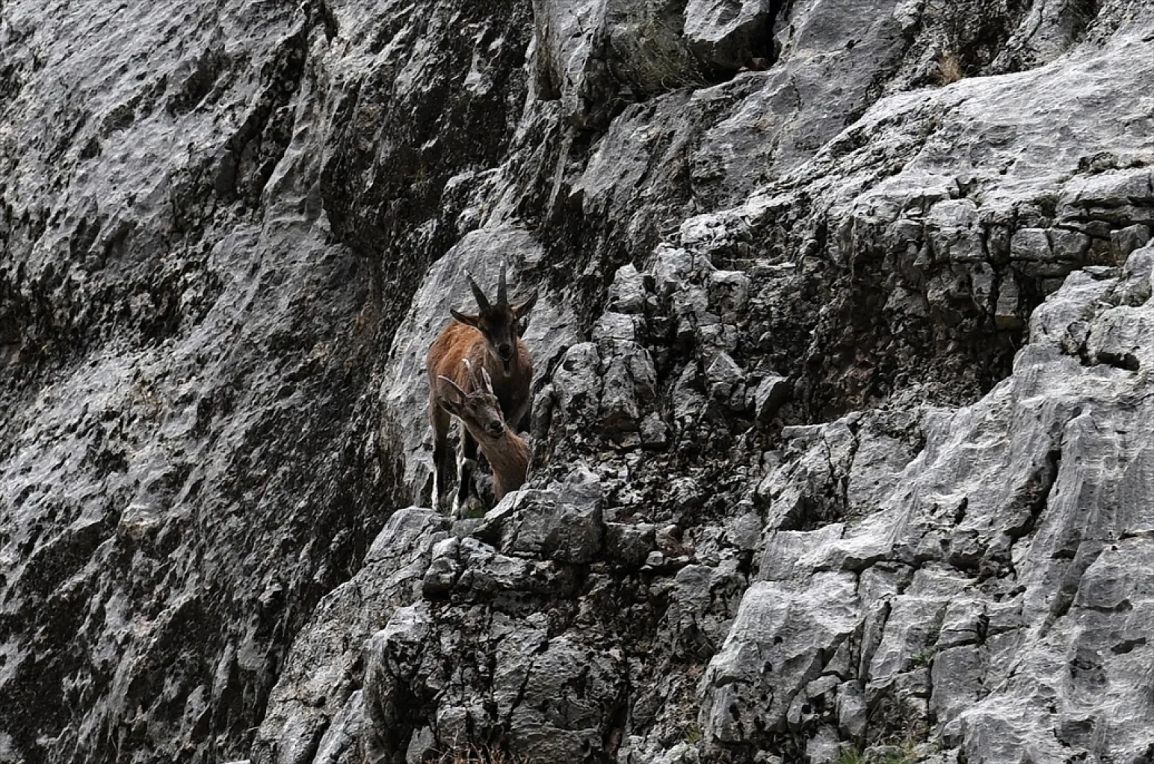 Karanlık Kanyonu ziyaretçilerini büyülüyor