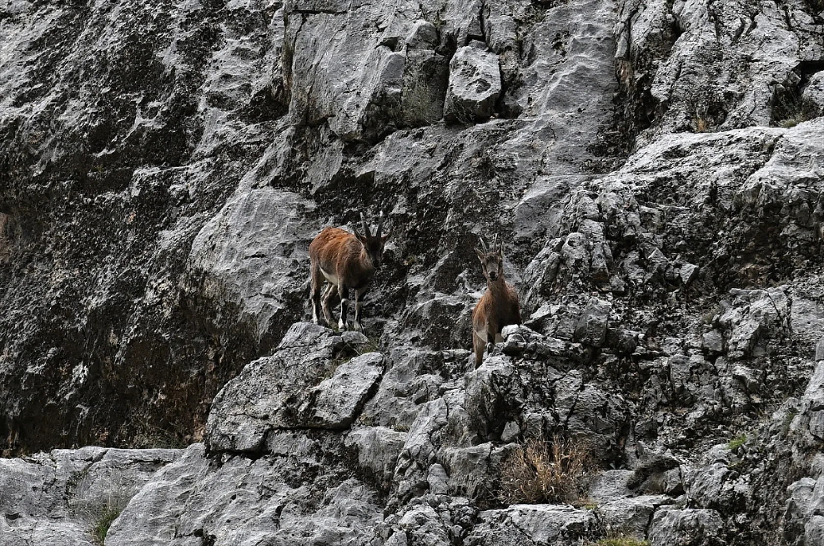 Karanlık Kanyonu ziyaretçilerini büyülüyor