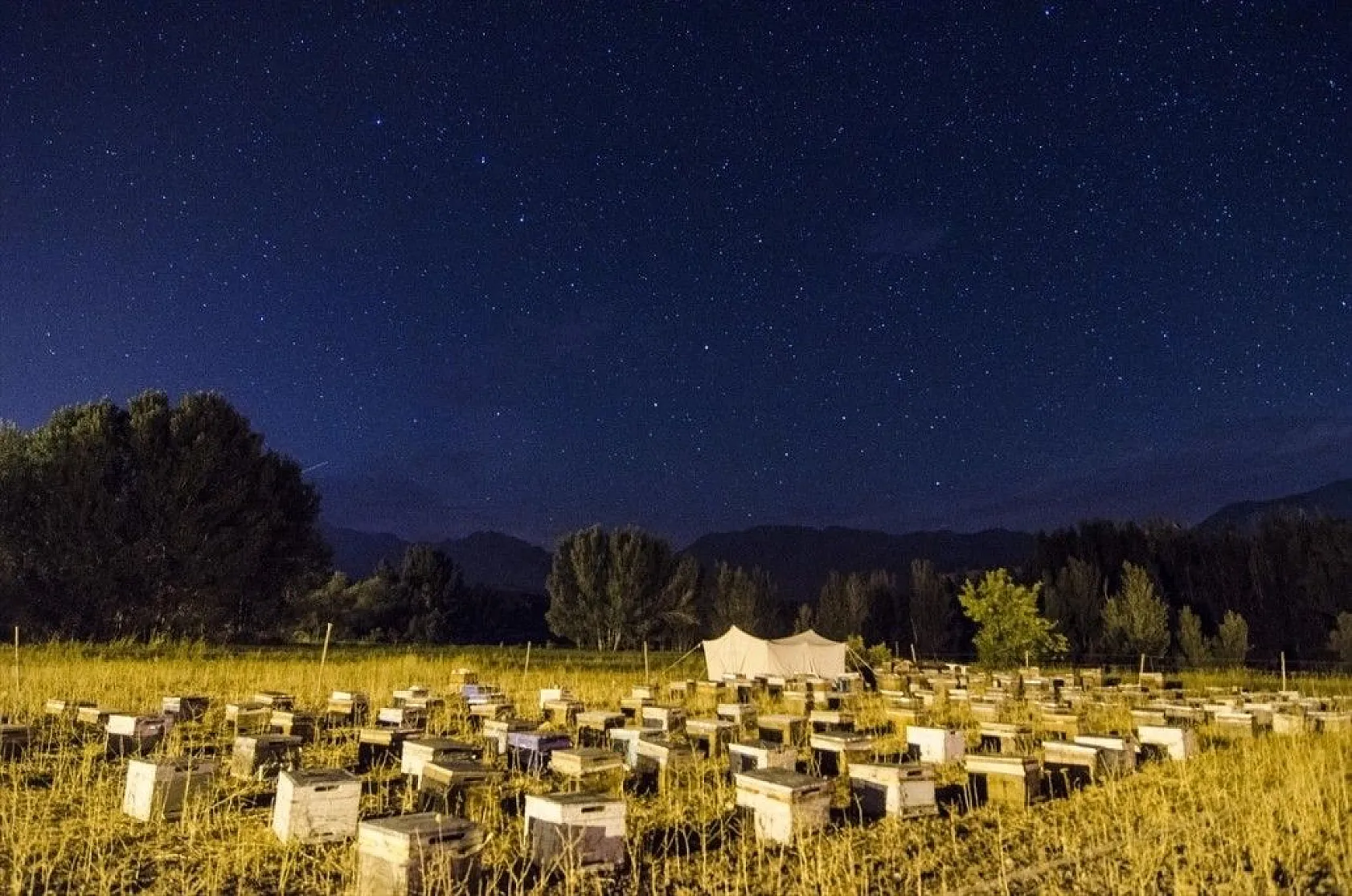Ovacık'ta yıldızların görsel şöleni