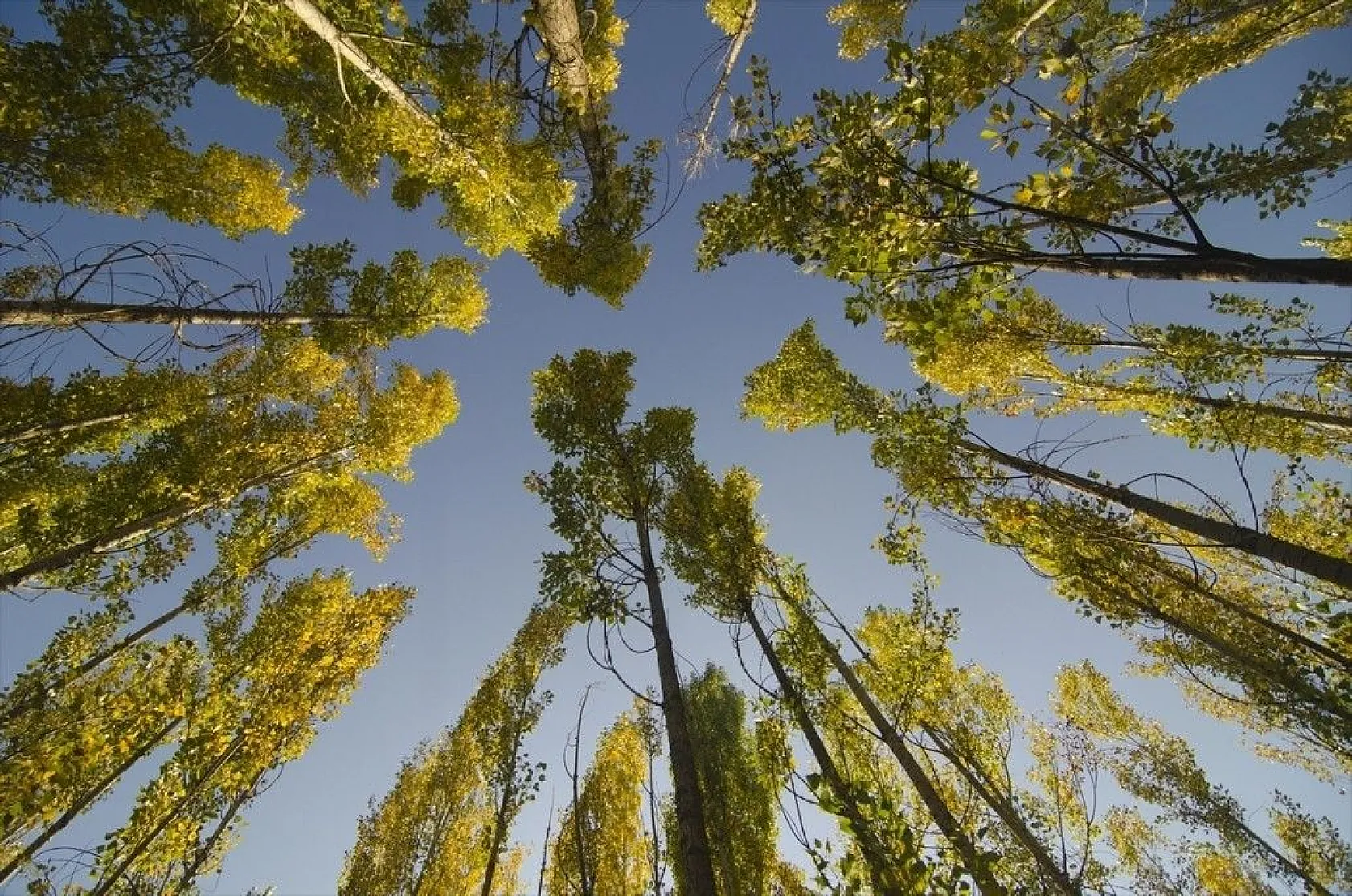 Ovacık'ta güz renkleri göz kamaştırıyor