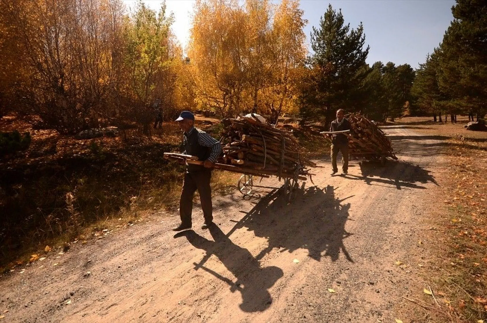 Sarıkamış'ta sonbahar güzelliği