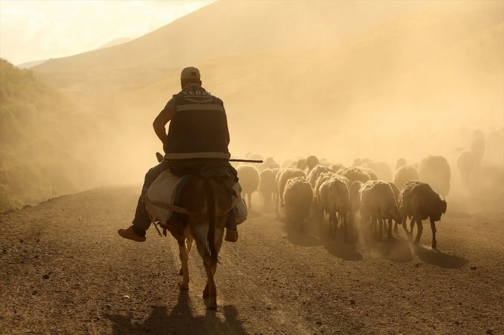 Sürülerin tozlu yolculuğu