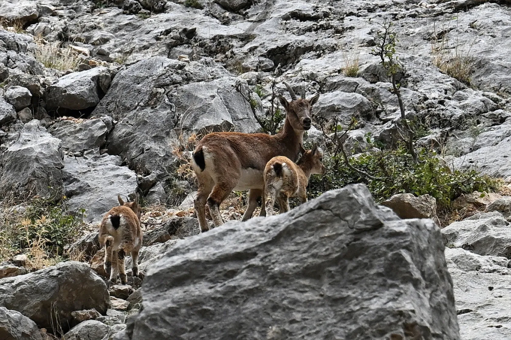 Karanlık Kanyonu ziyaretçilerini büyülüyor