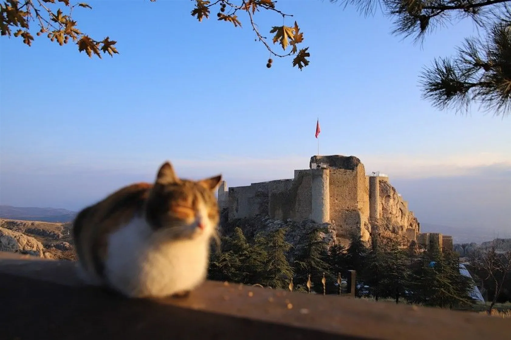 Harput'ta sonbahar güzelliği