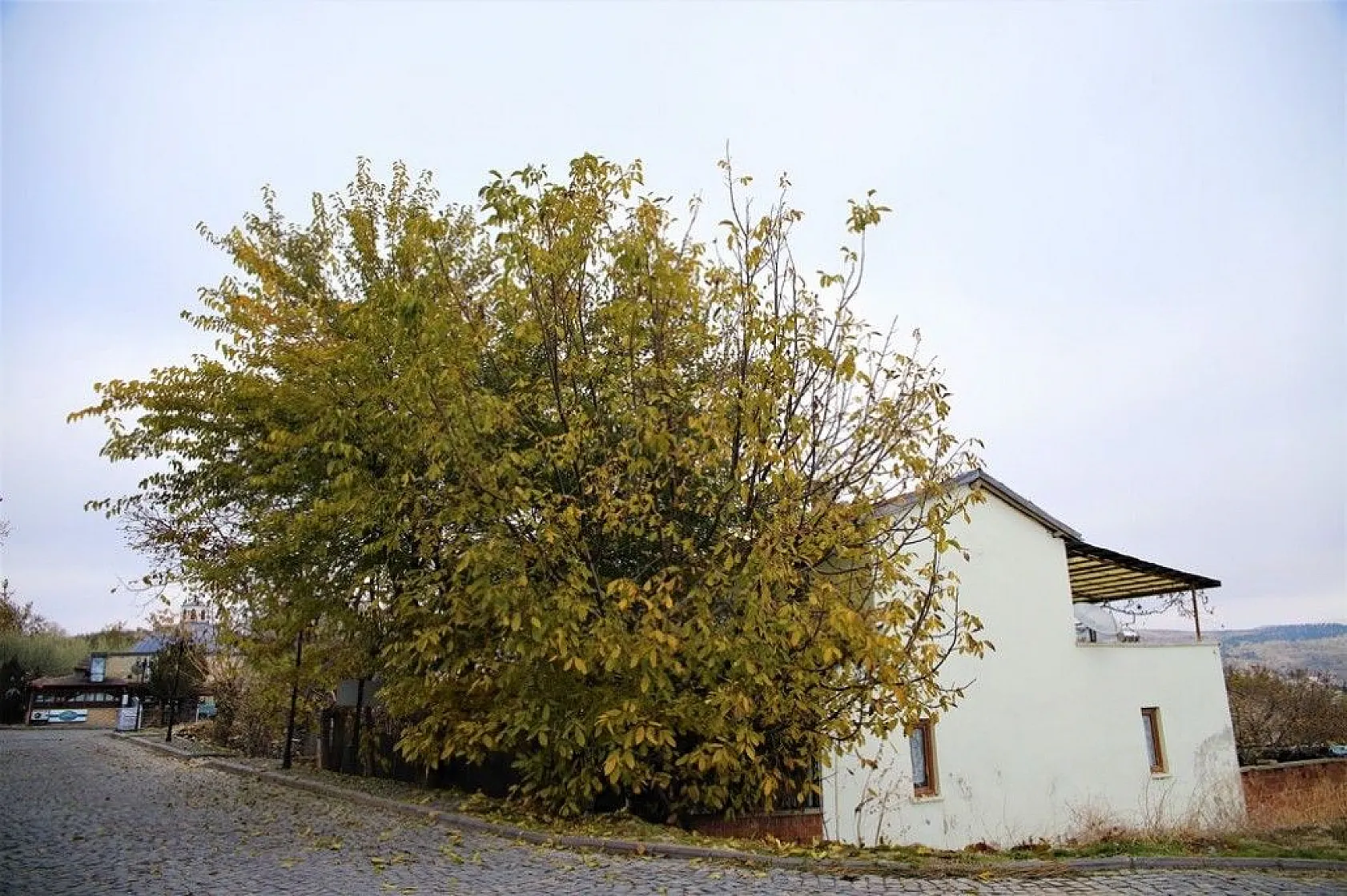 Harput'ta sonbahar güzelliği