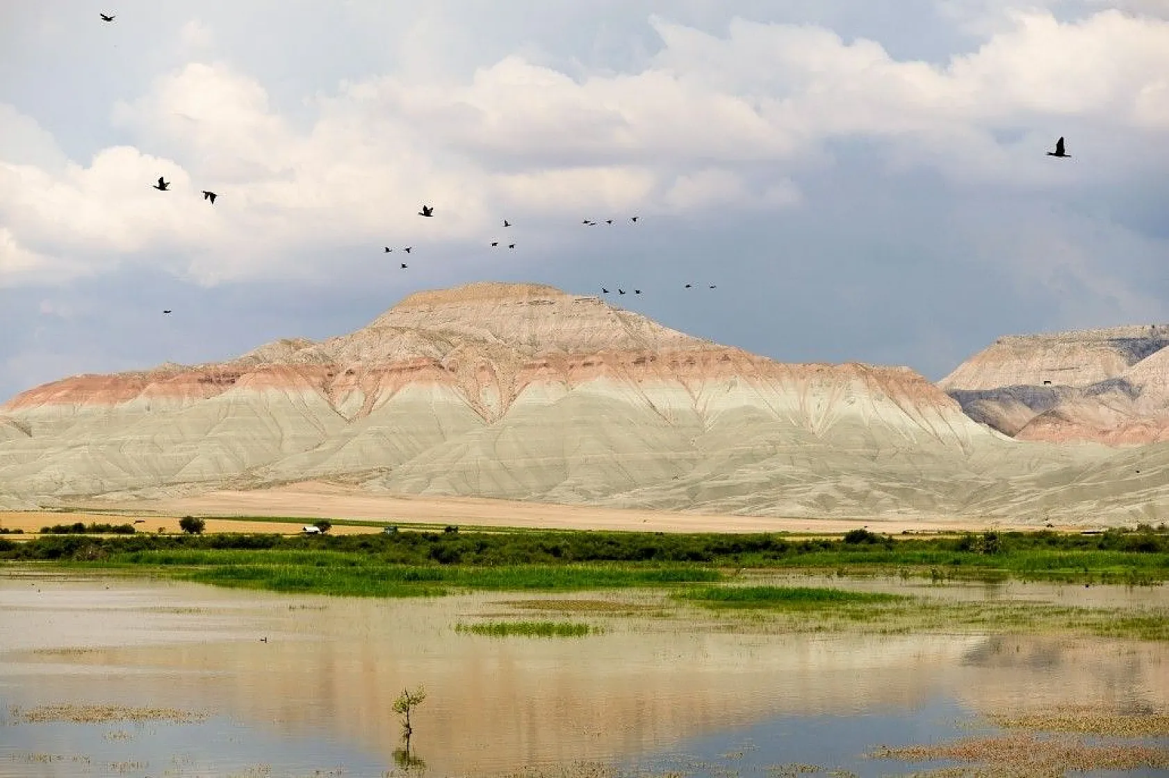 Nallıhan Kuş Cenneti'nde görsel şölen