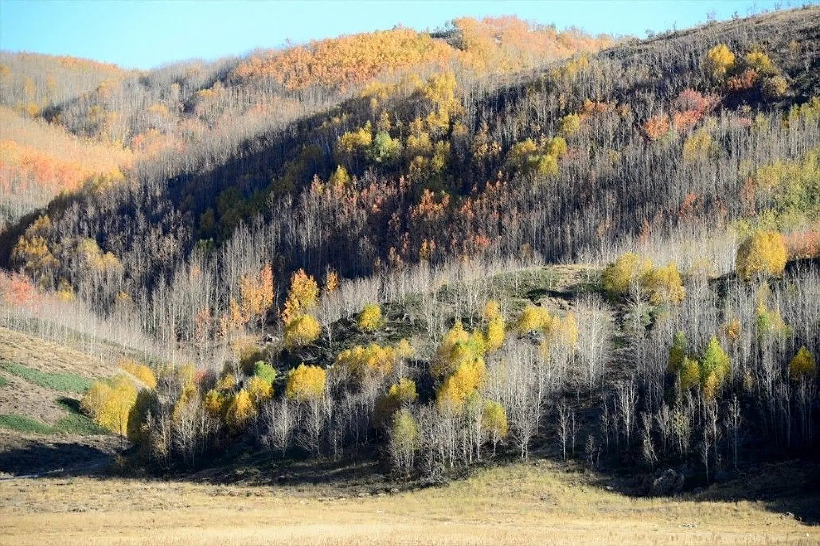 Nemrut Krater Gölü sonbahar renkleriyle büyülüyor