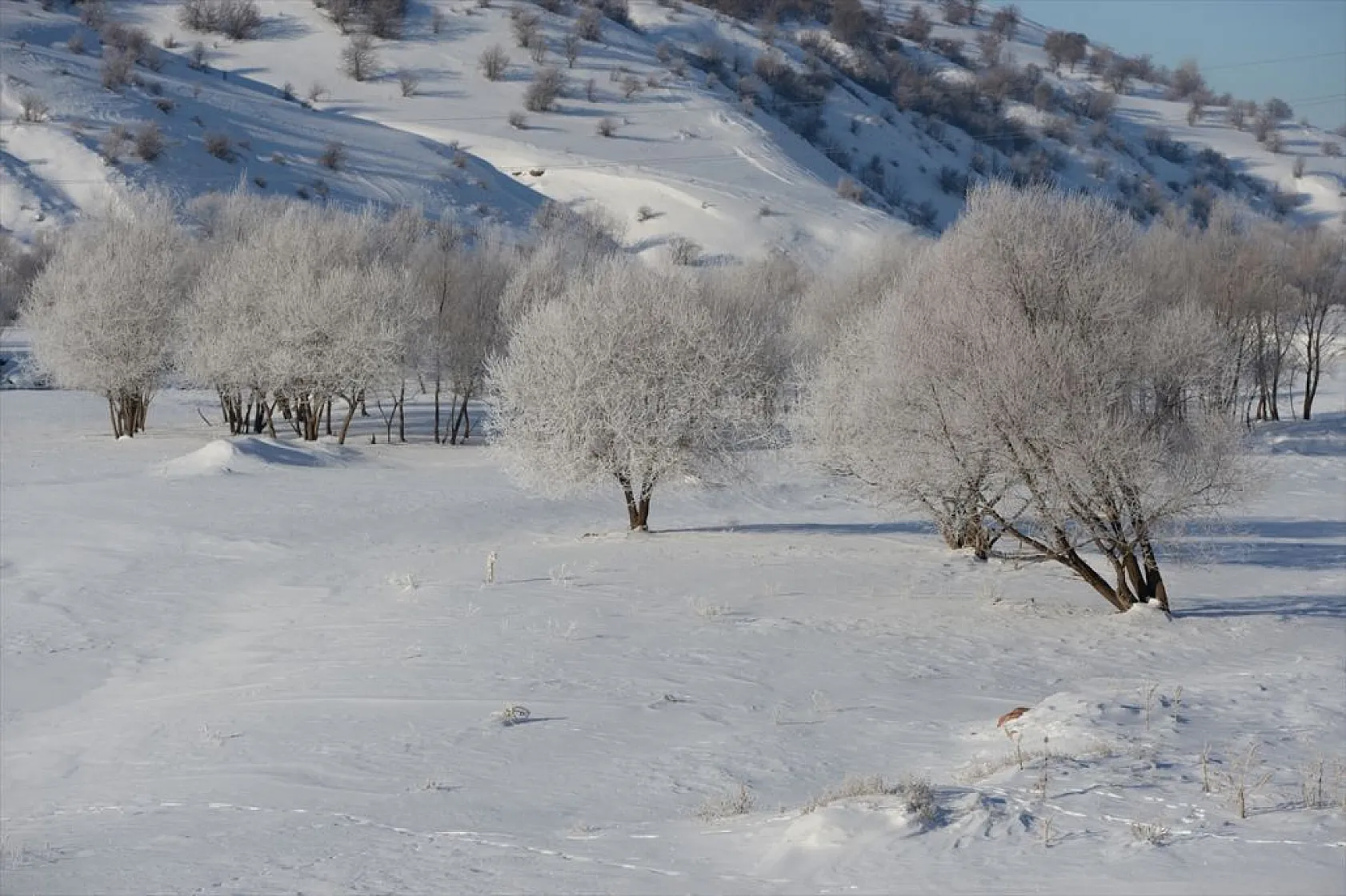 Bingöl'de kış