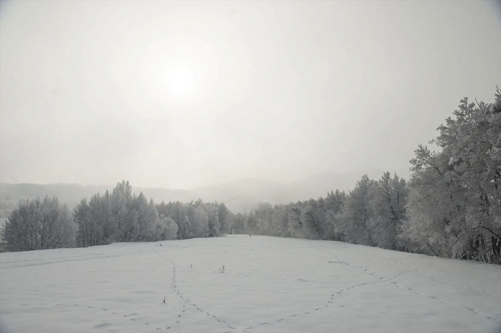 Tunceli'de soğuk havanın etkisiyle ağaç ve bitkiler kırağı tuttu