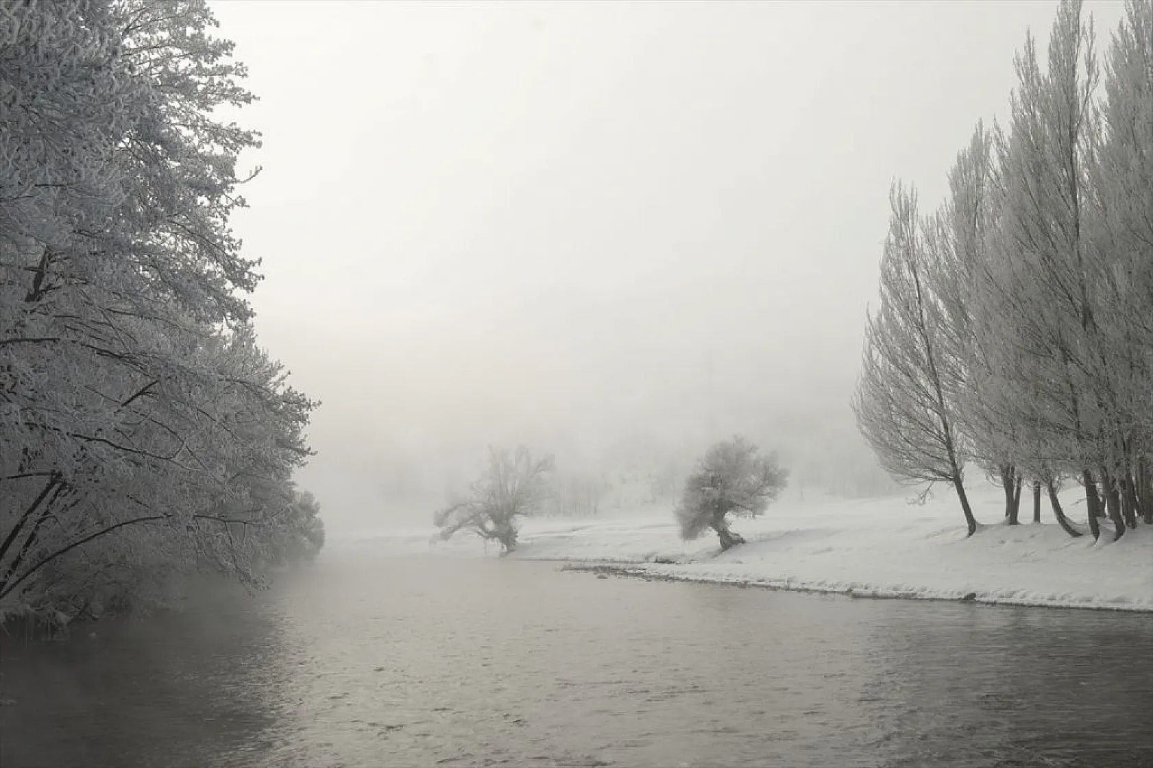 Tunceli'de soğuk havanın etkisiyle ağaç ve bitkiler kırağı tuttu