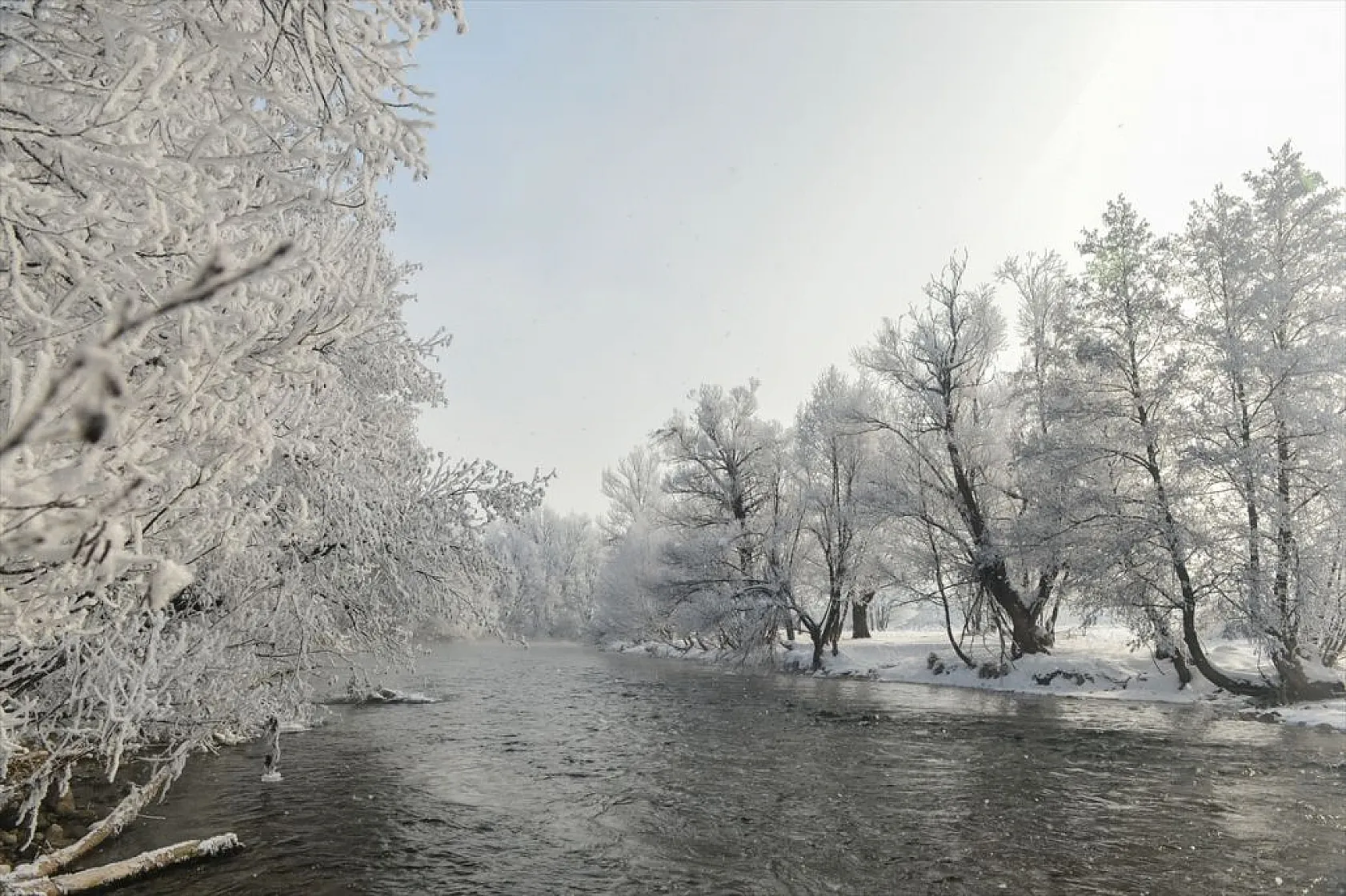 Tunceli'de soğuk havanın etkisiyle ağaç ve bitkiler kırağı tuttu