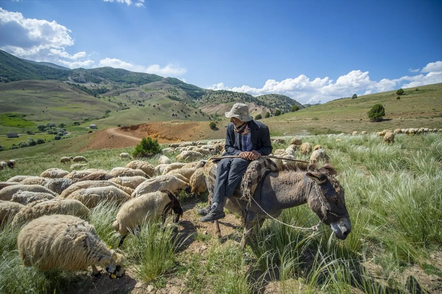 Göçerlerin yaylalarda zorlu mesaisi