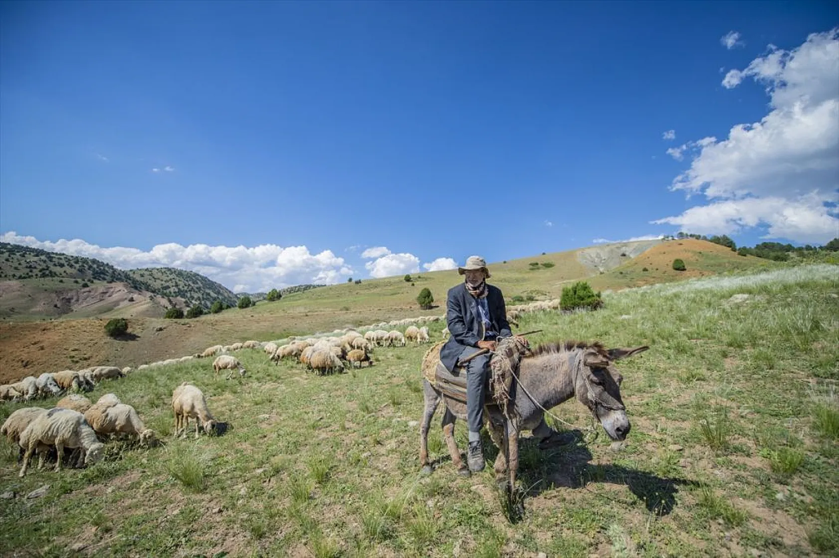 Göçerlerin yaylalarda zorlu mesaisi