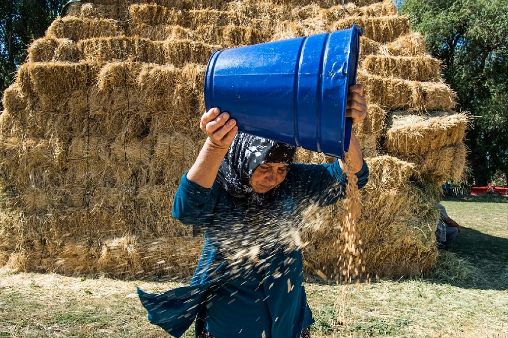 Karslı kadınlar rüzgara karşı 'tahıl savurma' mesaisinde