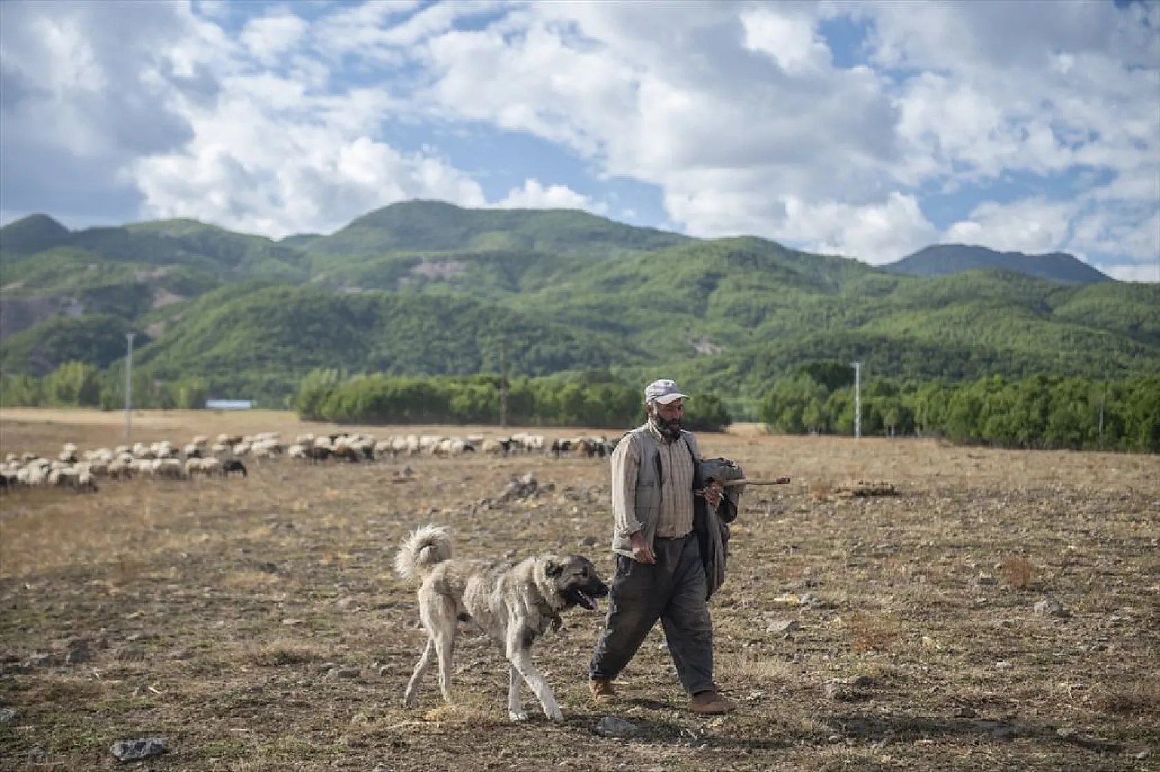 Göçerlerin köylerine zorlu dönüşü başladı