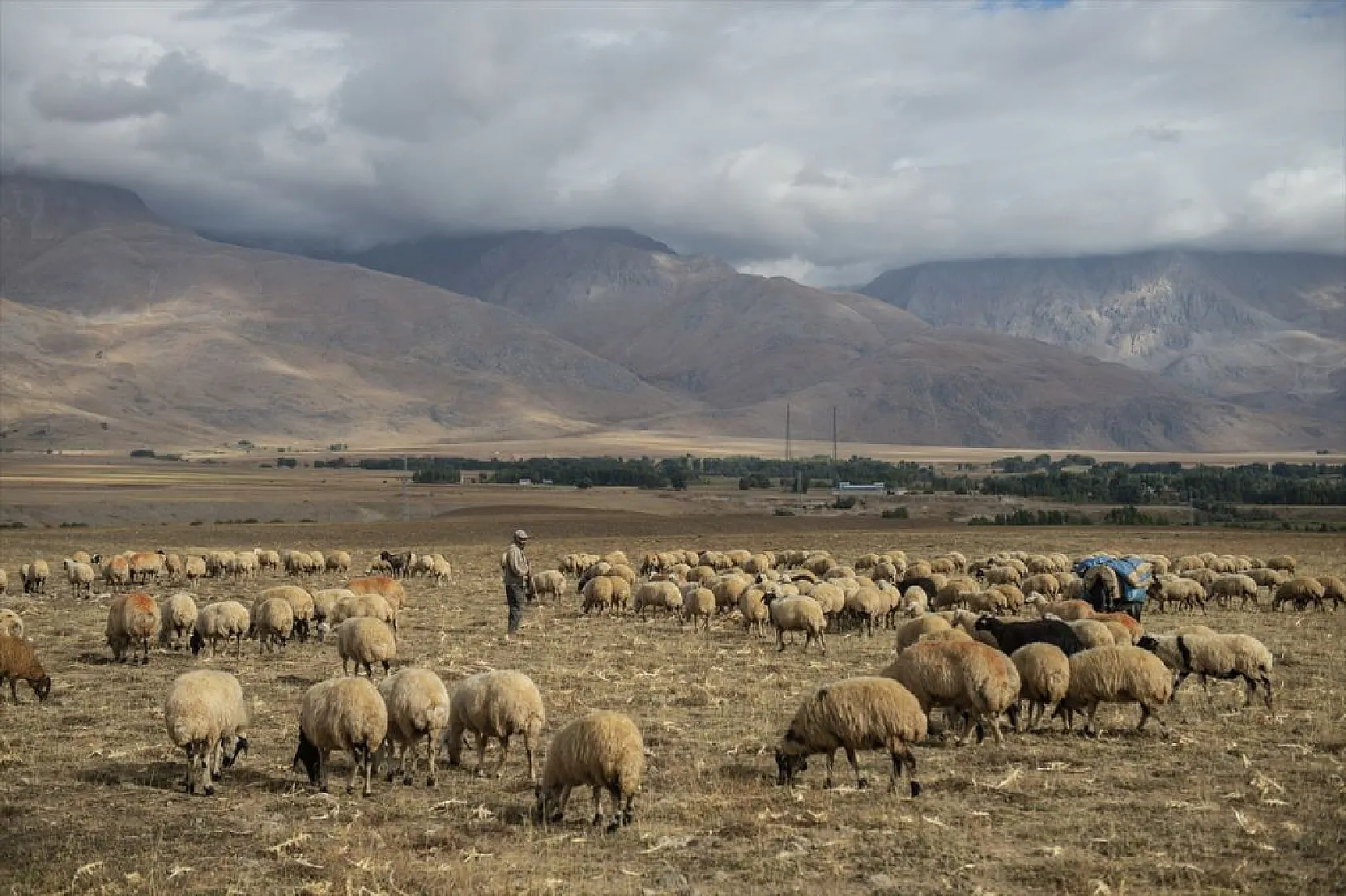 Göçerlerin köylerine zorlu dönüşü başladı