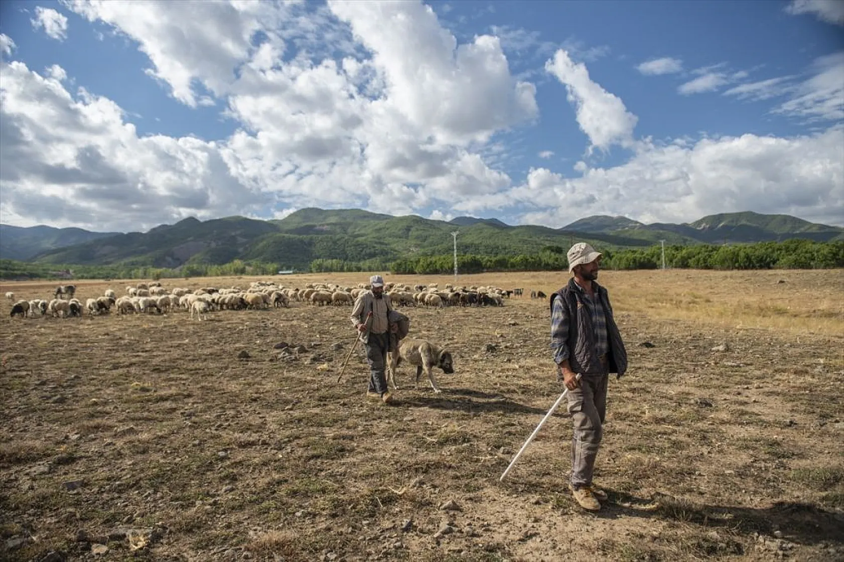 Göçerlerin köylerine zorlu dönüşü başladı