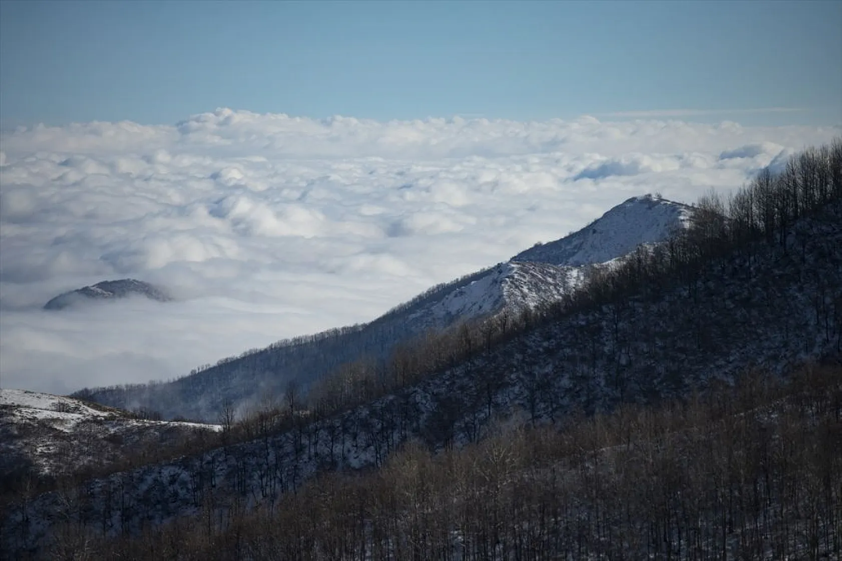 Tunceli'de kar yağışı ve sisli hava
