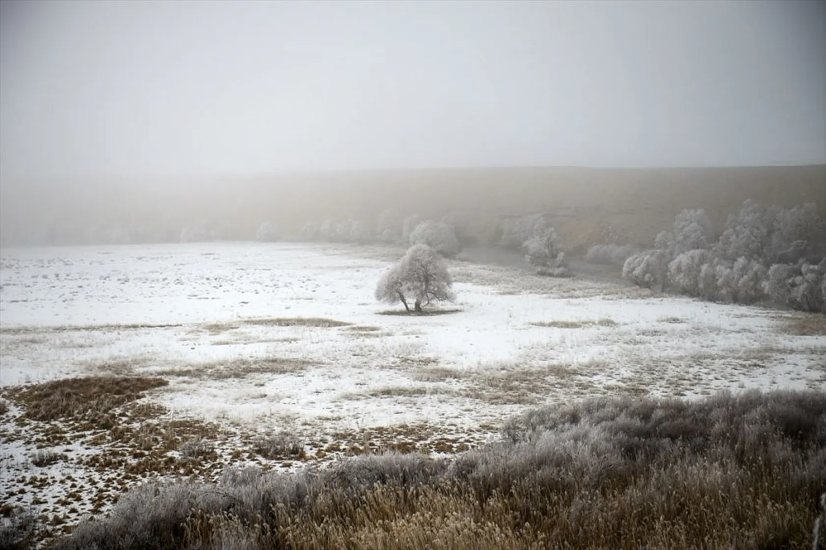 Ovacık'da soğuk hava nedeniyle ağaçlar kırağı tuttu