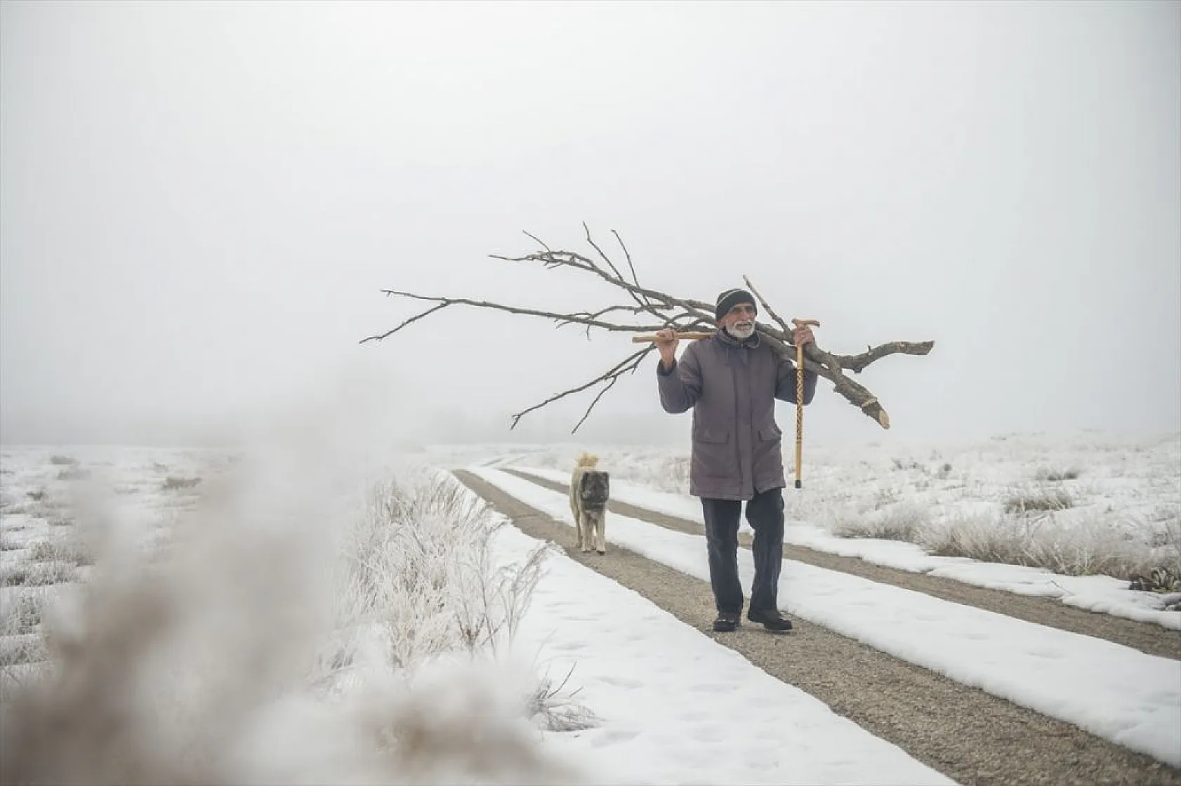 Ovacık'da soğuk hava nedeniyle ağaçlar kırağı tuttu