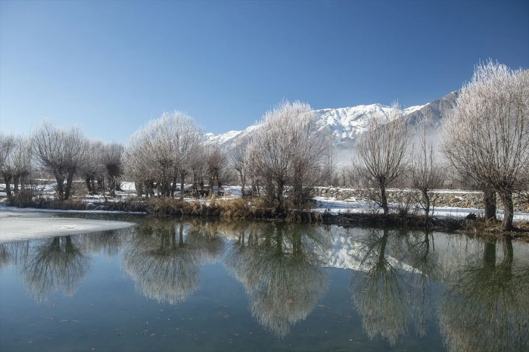 Ovacık'da soğuk hava nedeniyle ağaçlar kırağı tuttu