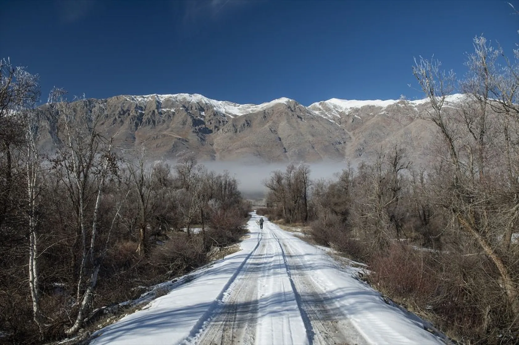 Ovacık'da soğuk hava nedeniyle ağaçlar kırağı tuttu