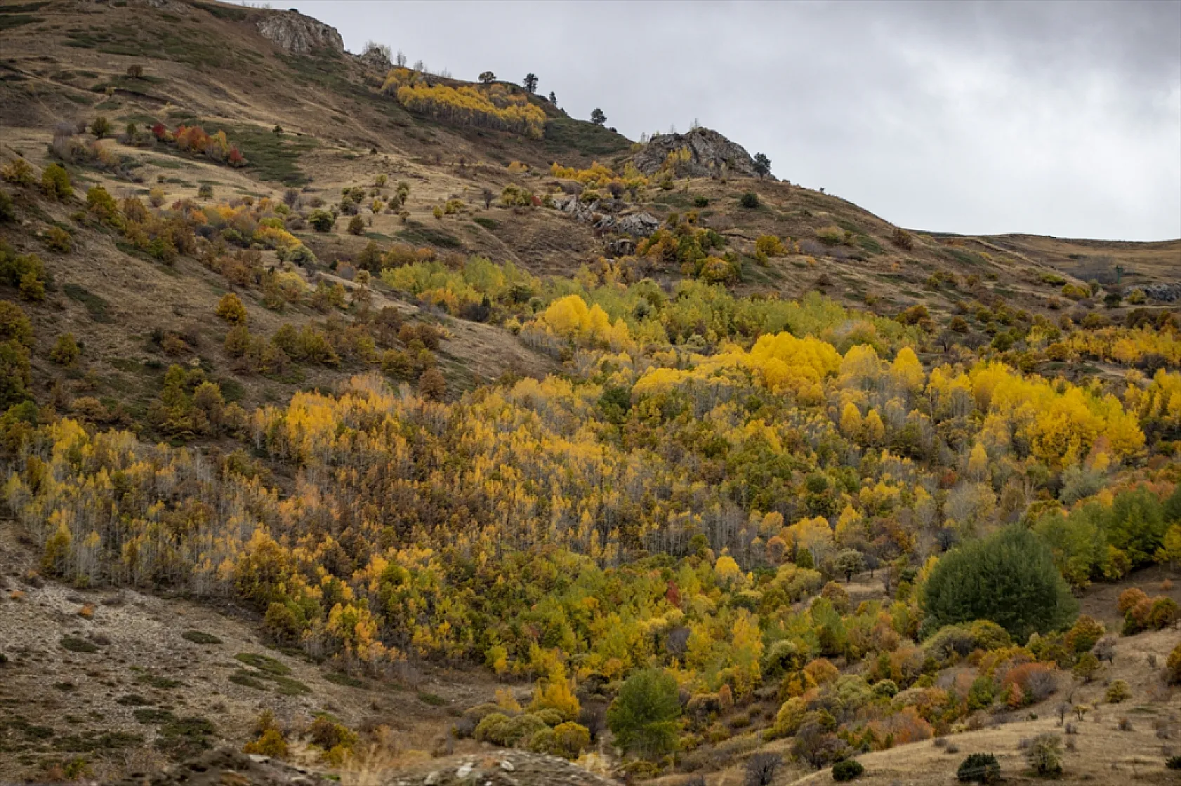 Kop Dağı'nda sonbahar