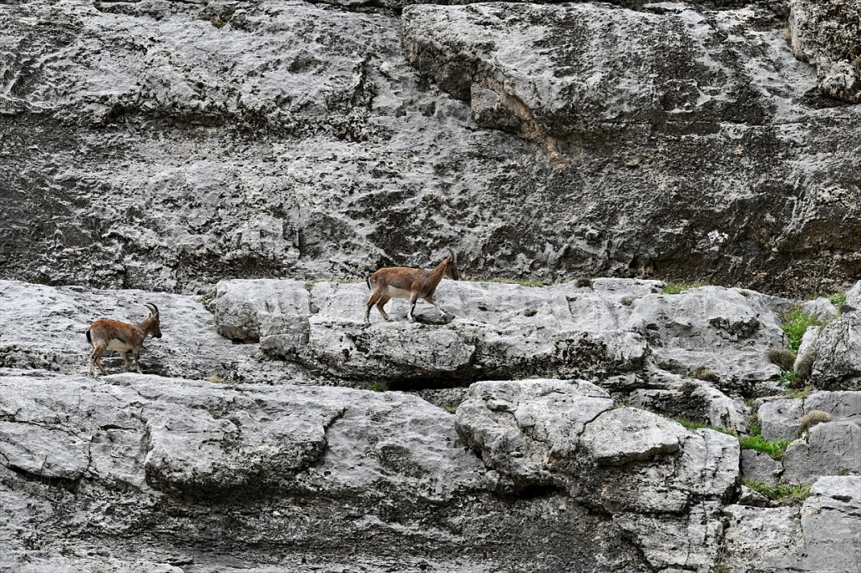 Karanlık Kanyonu ziyaretçilerini büyülüyor