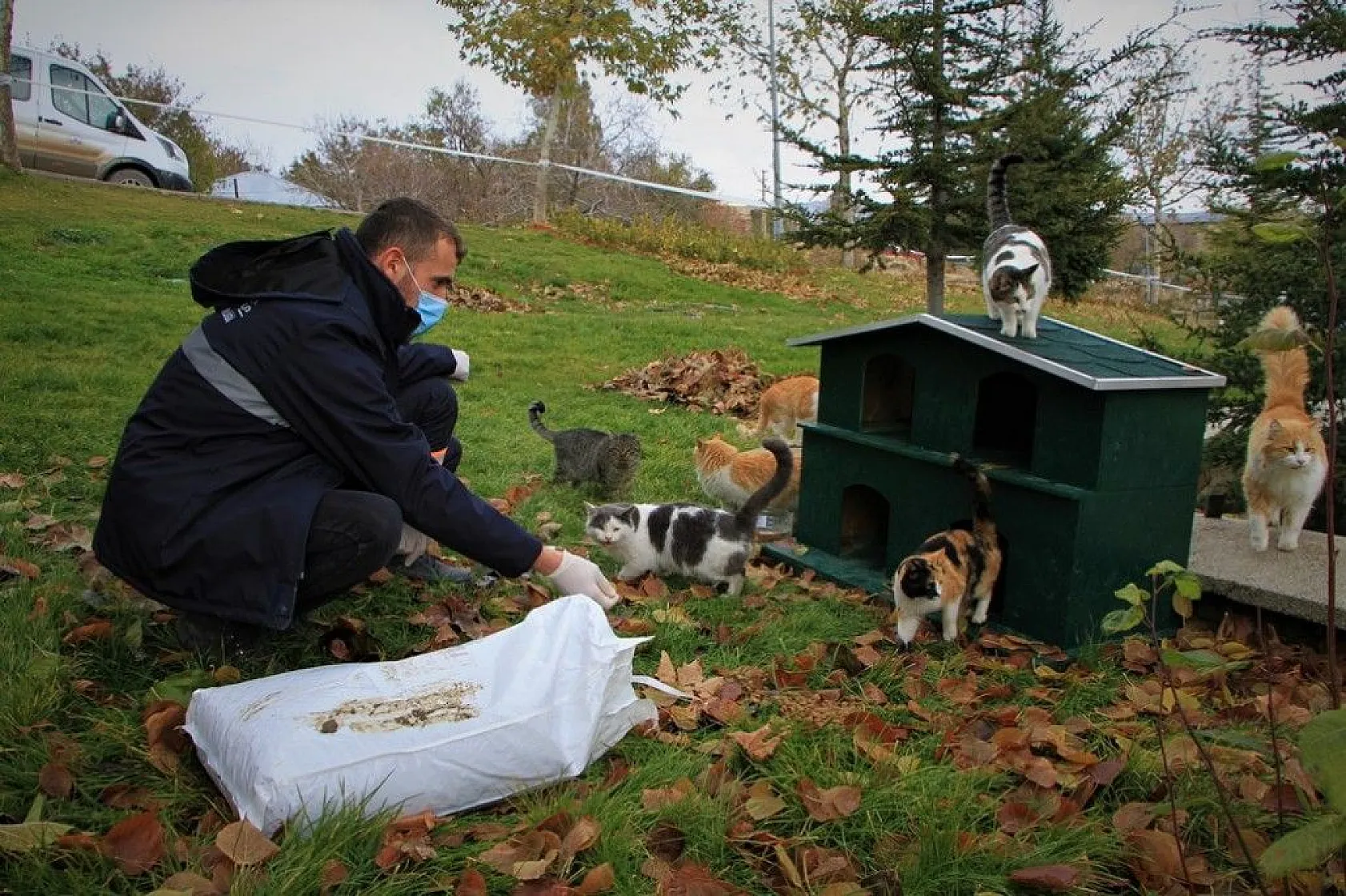 Sokağa çıkma kısıtlamasında sokak hayvanları unutulmadı