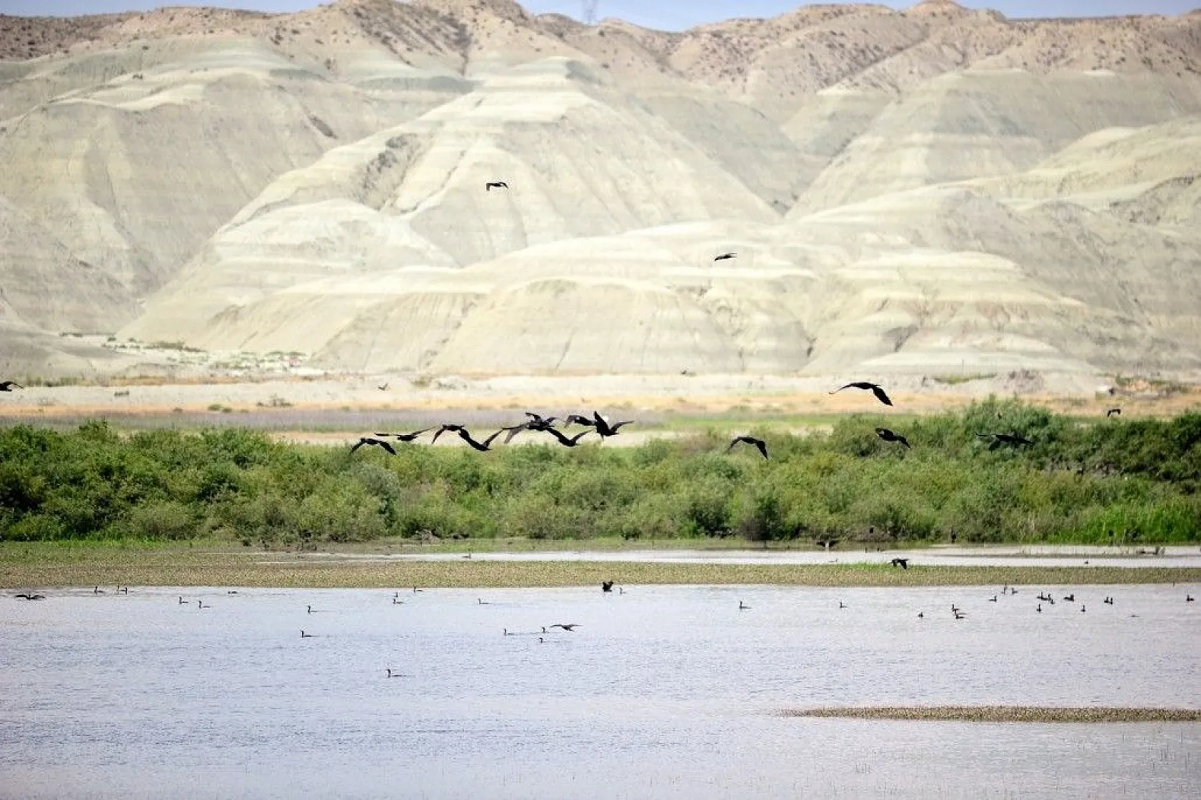 Nallıhan Kuş Cenneti'nde görsel şölen