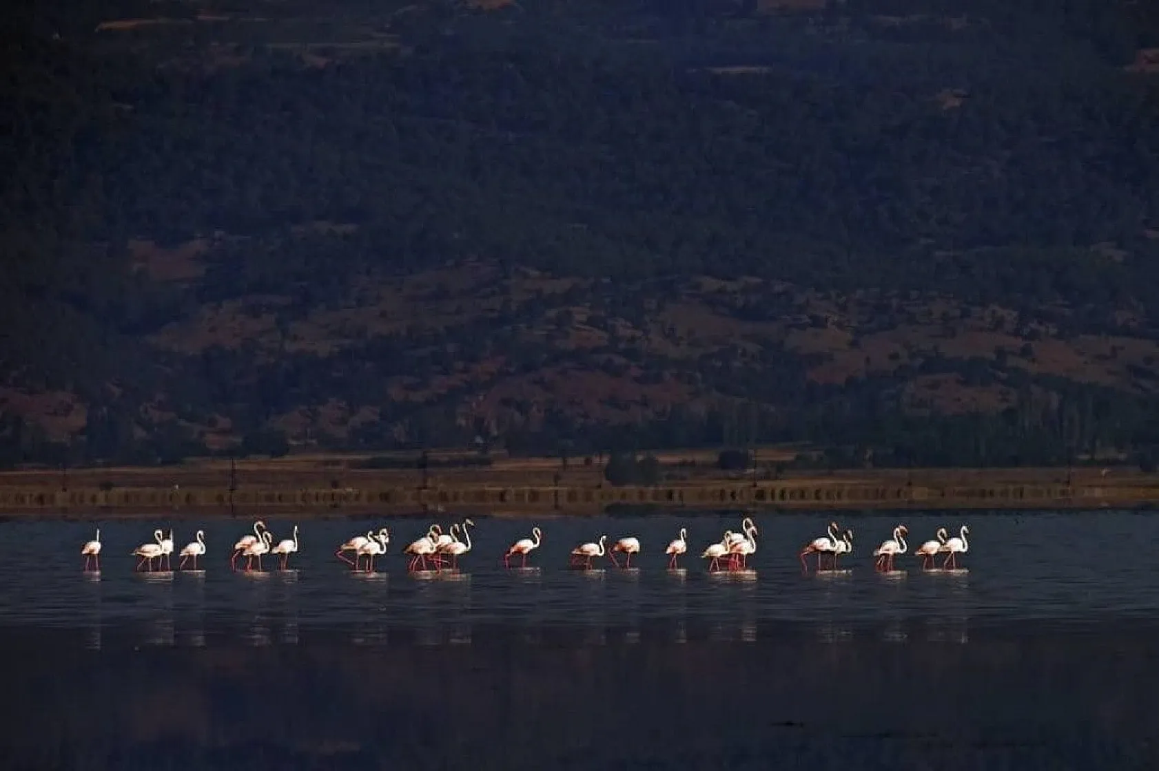 'Allı turna'ların suyla dansı
