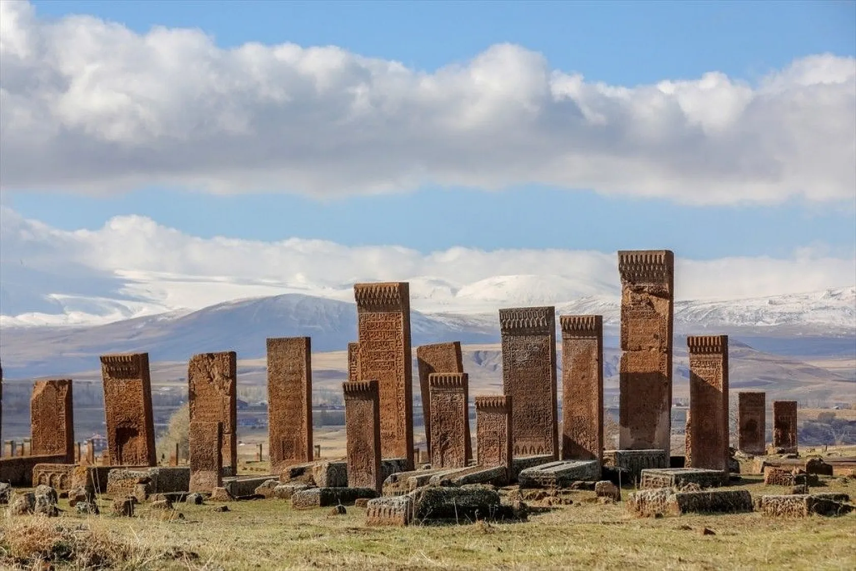 Dünyanın en büyük Türk İslam mezarlığı yeşille bütünleşecek