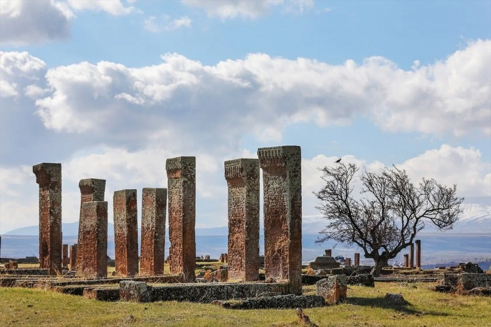 Dünyanın en büyük Türk İslam mezarlığı yeşille bütünleşecek