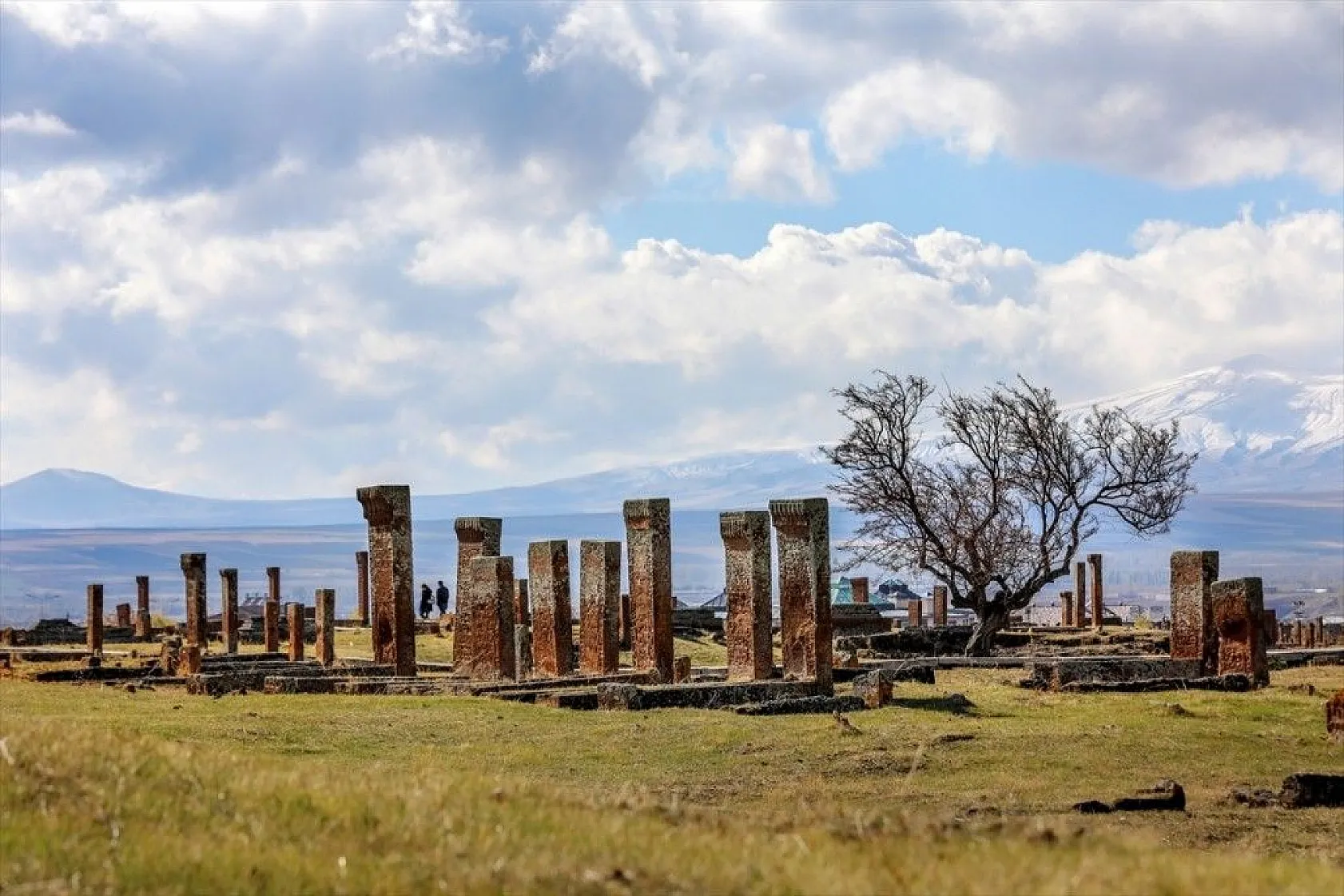 Dünyanın en büyük Türk İslam mezarlığı yeşille bütünleşecek