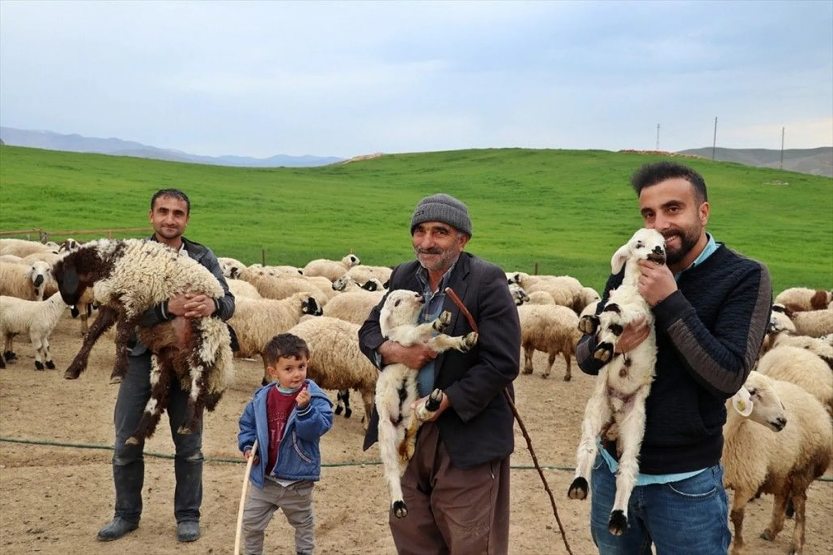 Hafta içi mühendis hafta sonu çoban kardeşler