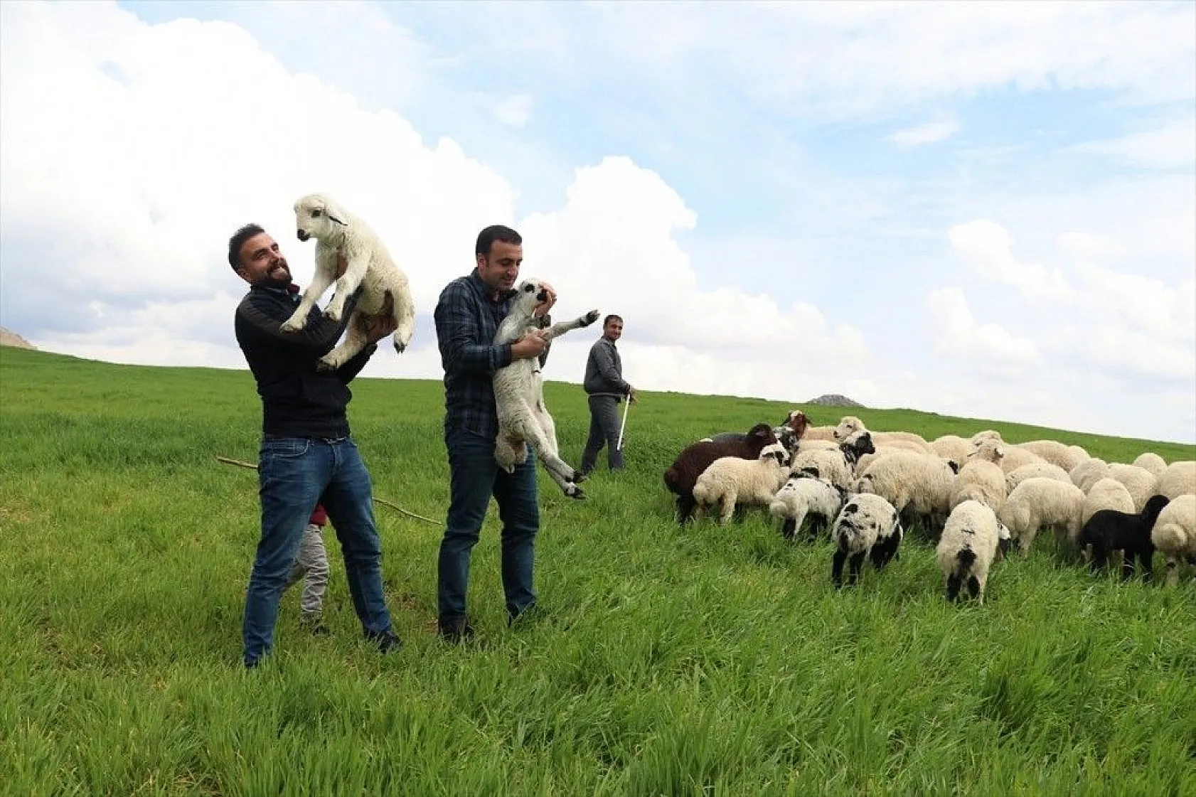 Hafta içi mühendis hafta sonu çoban kardeşler