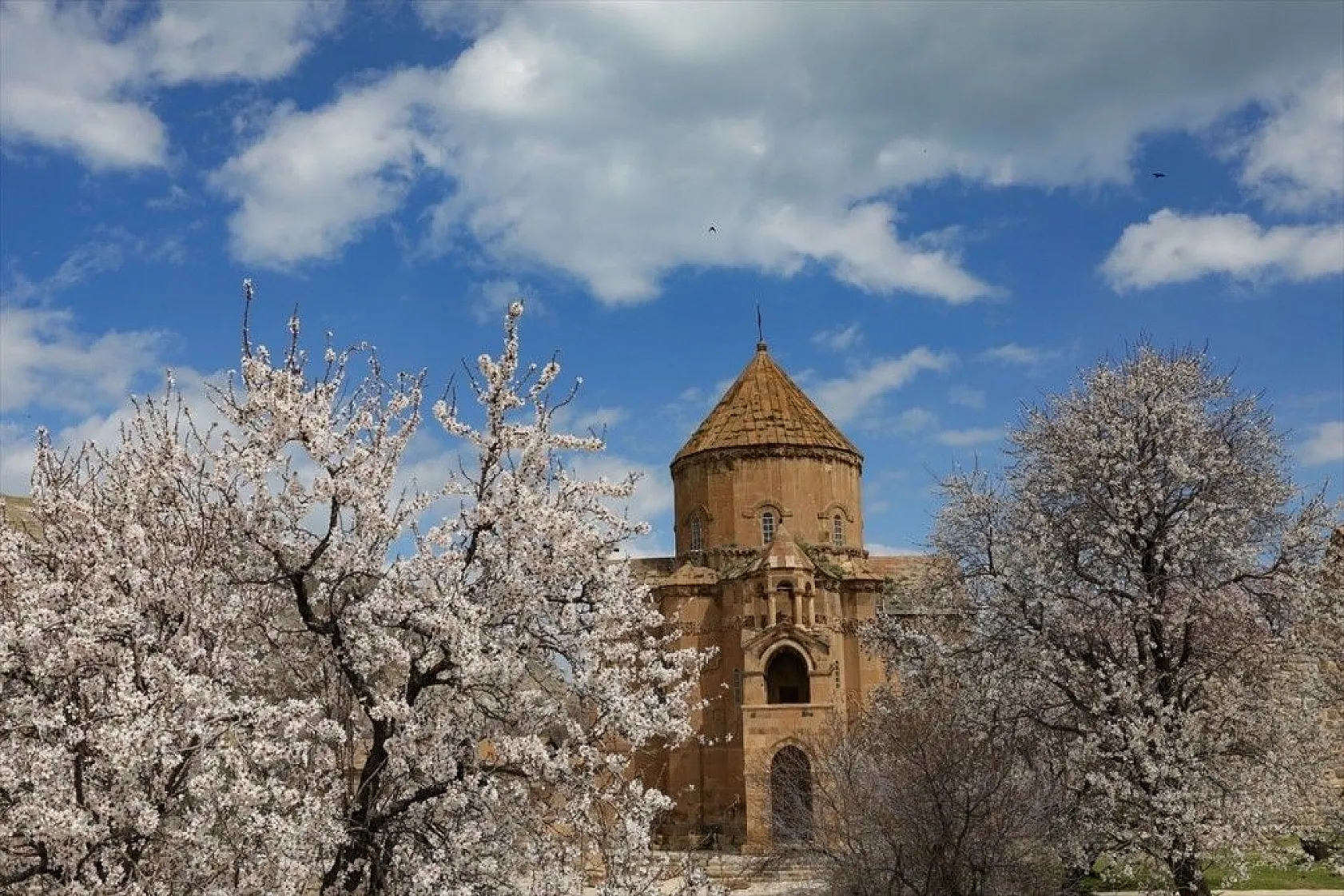 Çiçeklere bürünen Akdamar Adası görsel şölen sunuyor