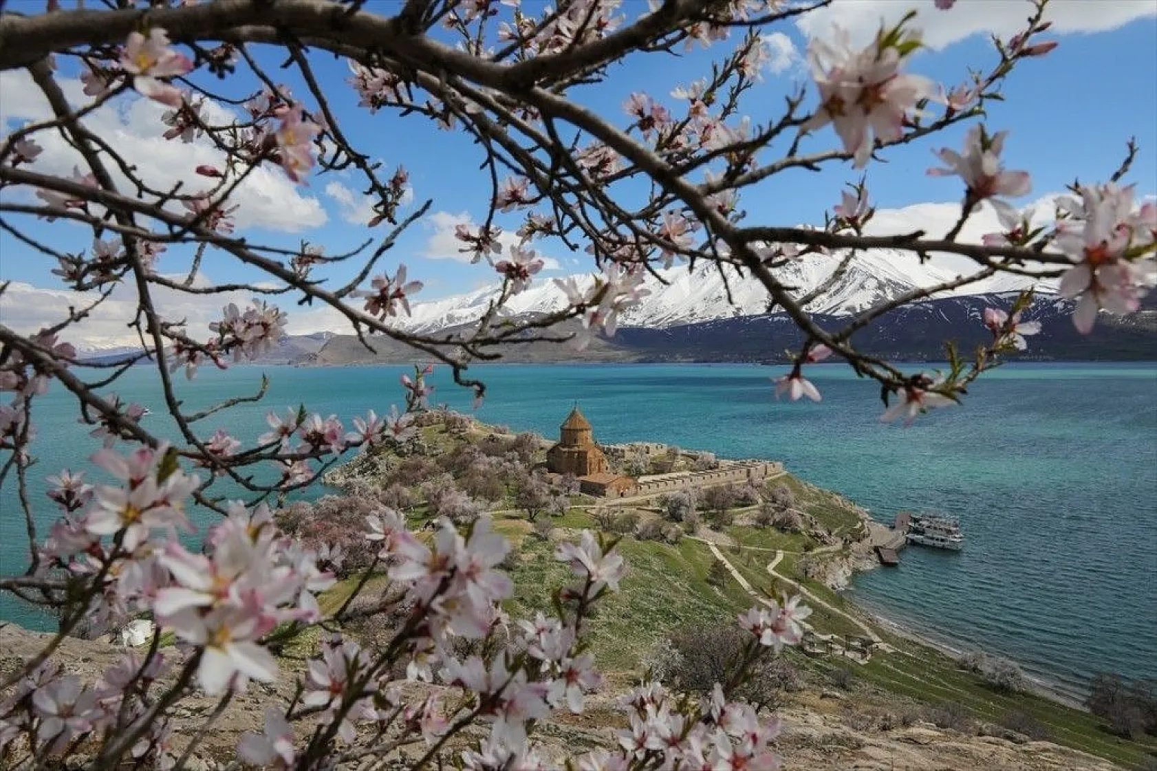 Çiçeklere bürünen Akdamar Adası görsel şölen sunuyor