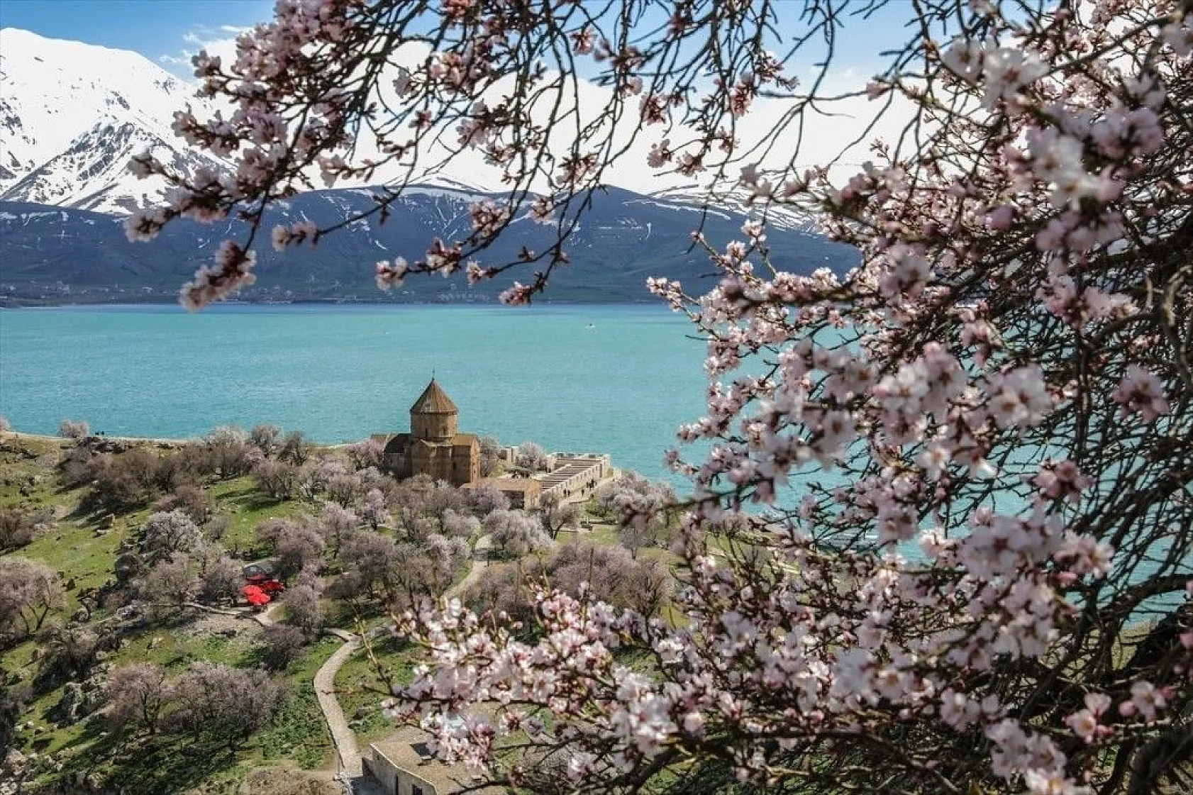 Çiçeklere bürünen Akdamar Adası görsel şölen sunuyor