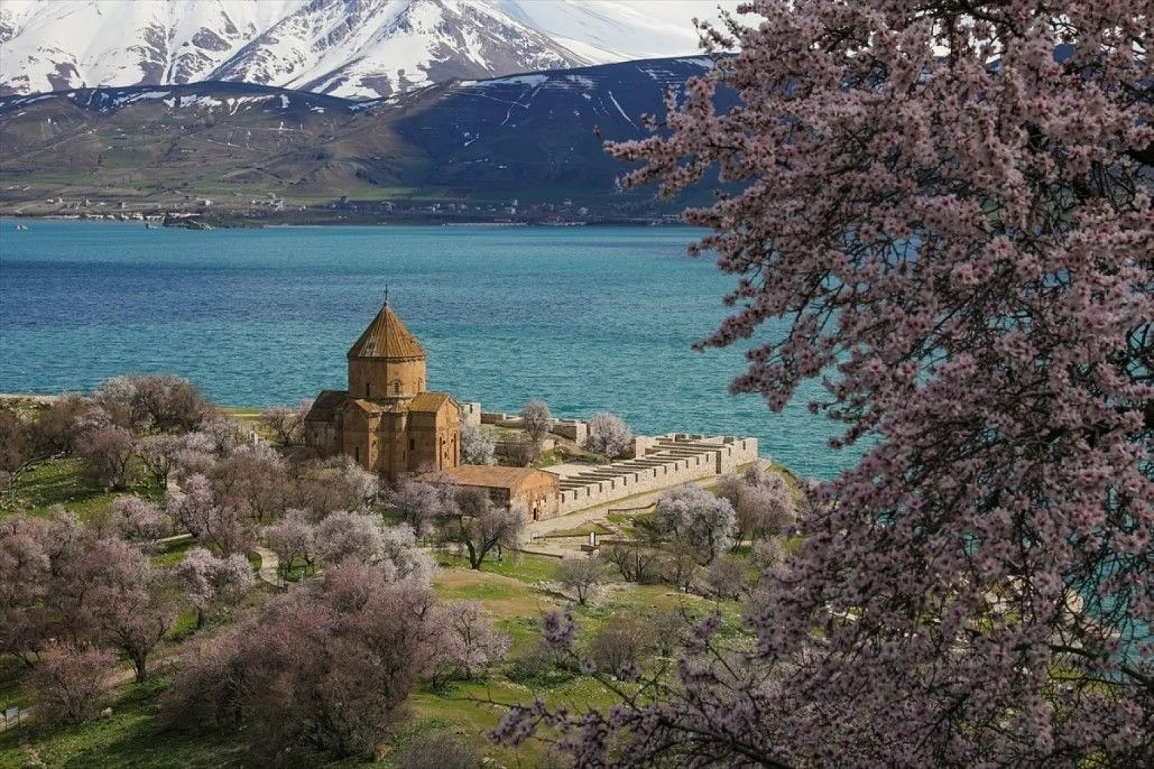 Çiçeklere bürünen Akdamar Adası görsel şölen sunuyor