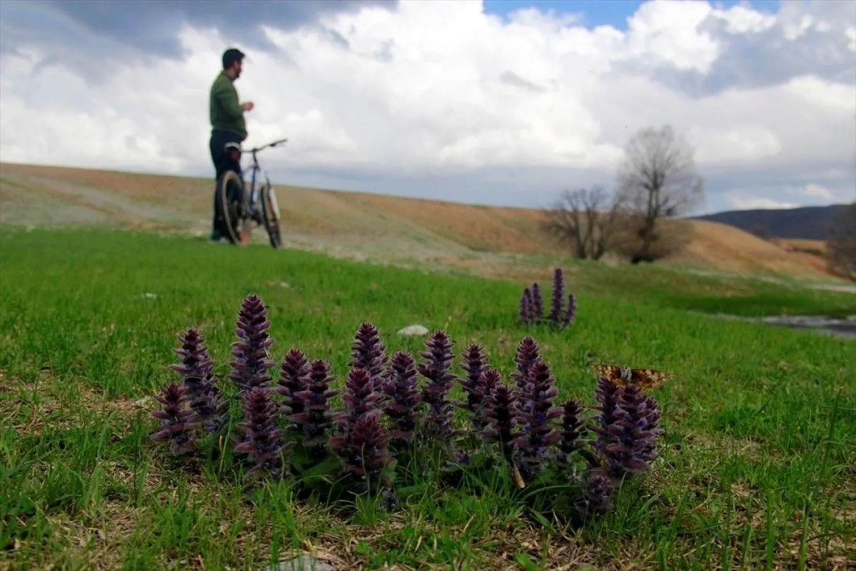 Aksu Deresi ve çevresinde ilkbahar güzelliği
