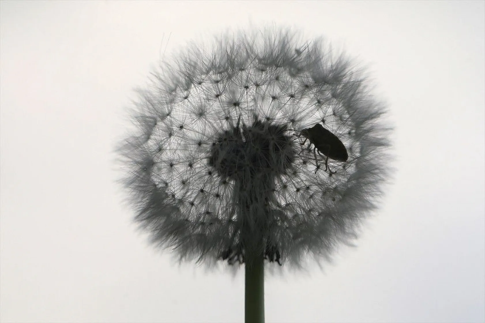 Doğa ilkbaharla canlandı