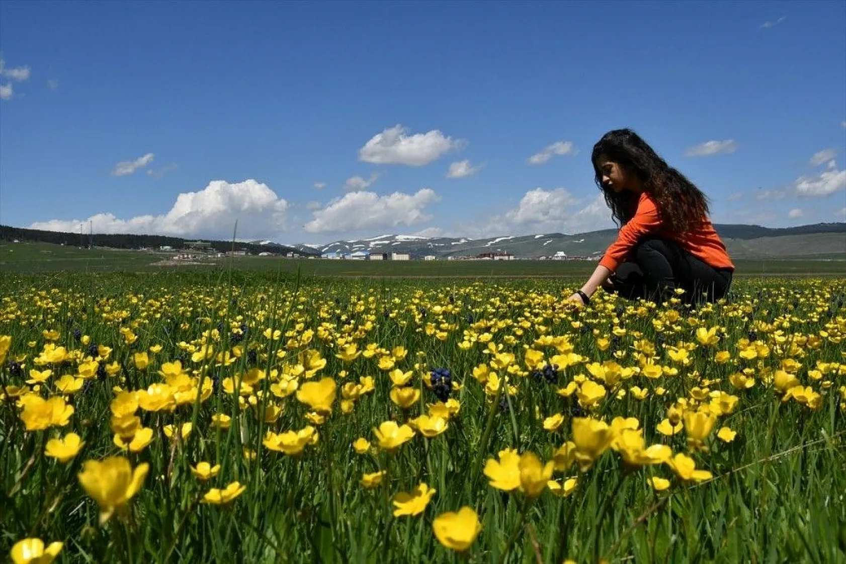 Doğadaki renk cümbüşü büyülüyor