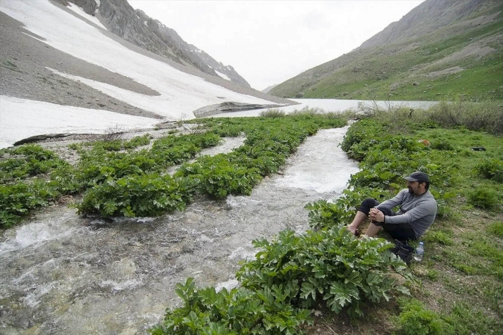 Mercan Vadisi'nin buzul gölleri yazın başka güzel